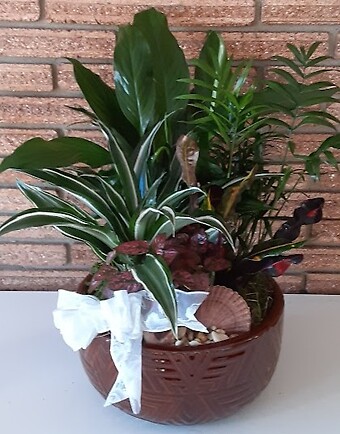 10&quot; Dish Garden