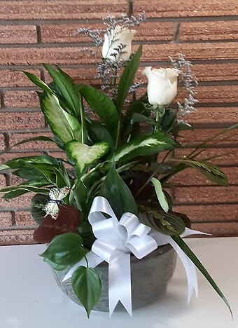10&quot; Dish Garden with 2 Roses