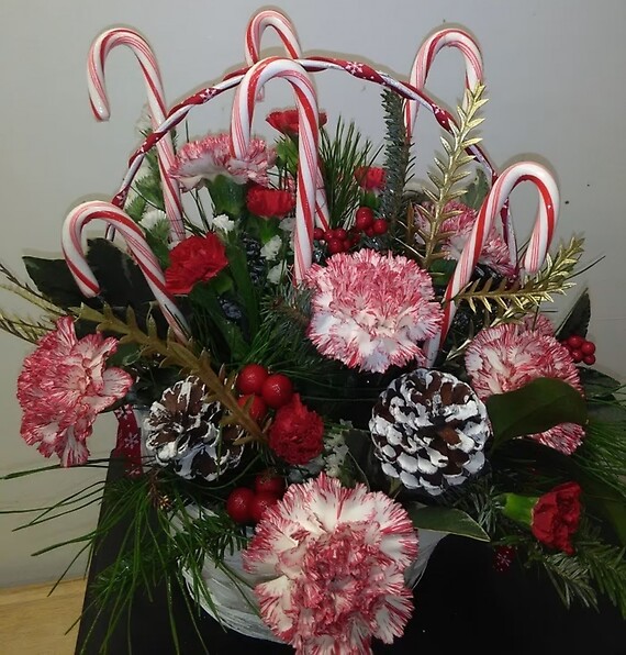 Candy Cane Christmas