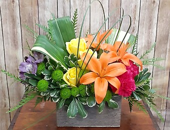 Shades Of Brilliance Box